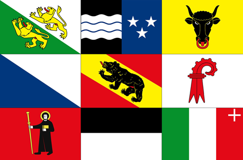 Solothurn vlag 20x30cm - Deelst zw 1 - SO2030