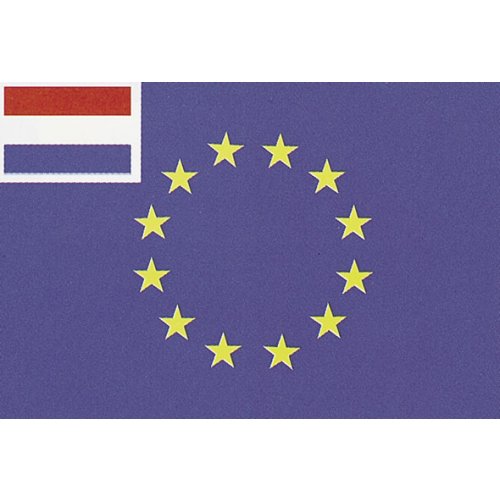 Combinatievlag EG-Nederland 40x60cm - Egnl4060 72dpi - EGNL4060