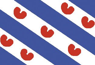 Friese vlag 40x60cm - Fr4060 72dpi - FR4060