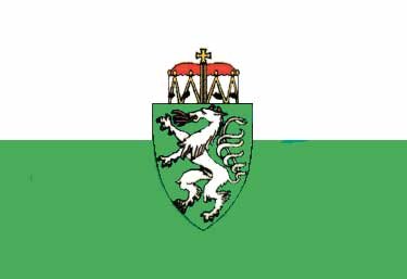 Steiermark Flagge 20x30cm - Stm2030 72dpi - STM2030
